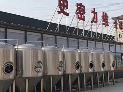 铁西精酿啤酒设备厂—市场规模与跨界新需求